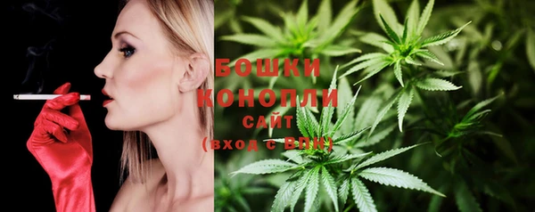 хмурый Богородицк