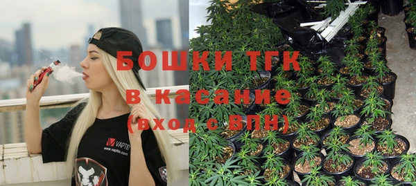 гидра Богданович