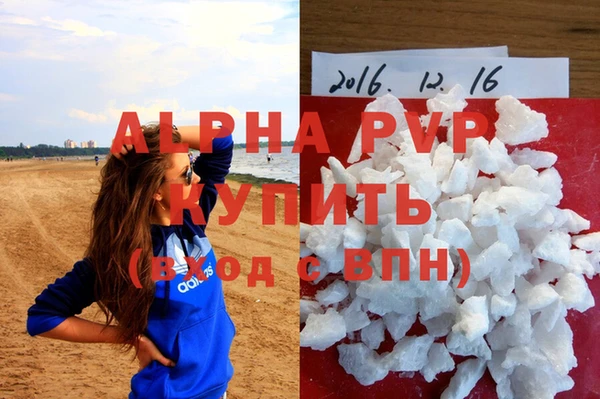 бошки Белокуриха