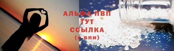 гидра Богданович
