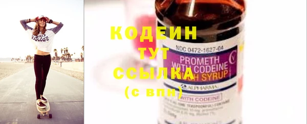 гидра Богданович