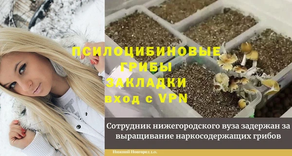 бошки Белокуриха