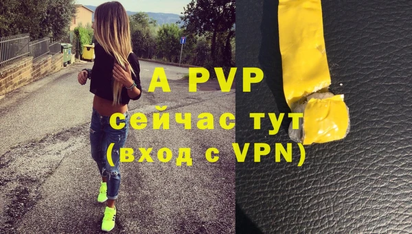 гидра Богданович