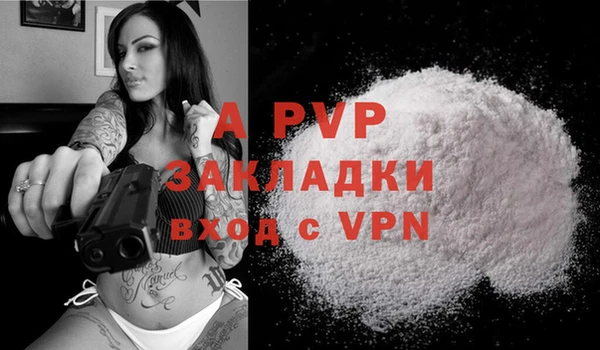 гидра Богданович
