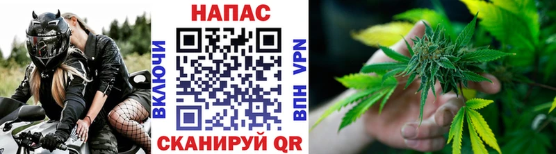 Канабис ГИДРОПОН  что такое   Бугульма 